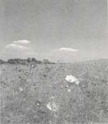 �d���싅�{�[���̐��Y 